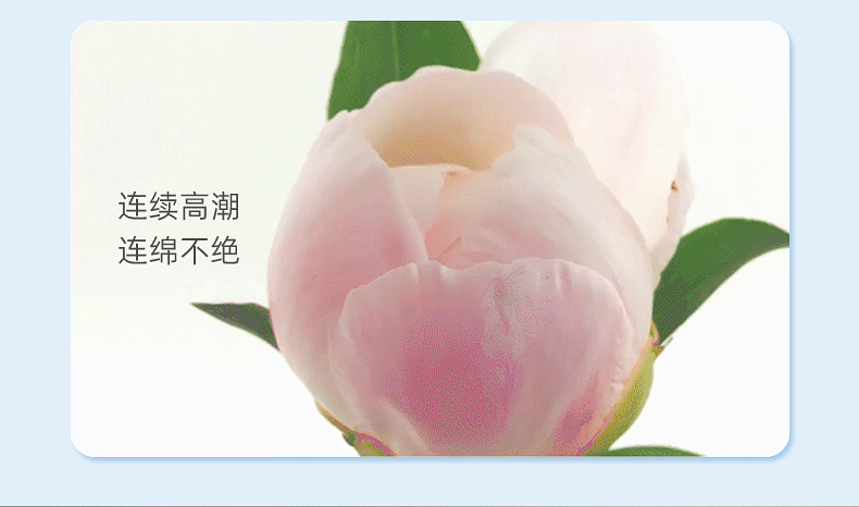 顽皮海豹舌舔跳蛋蓝色详情图 6